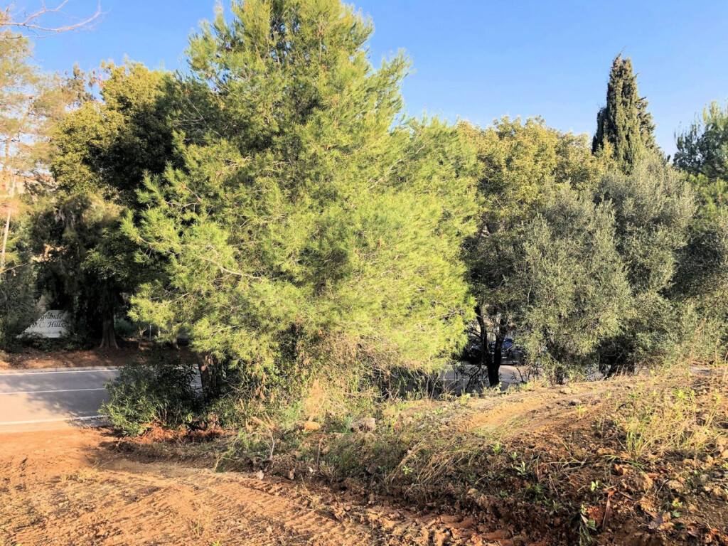 Imagen 2 de Solar residencial en Venta en Sotogrande Cádiz
