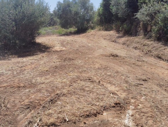 Imagen 4 de Solar residencial en Venta en Sotogrande Cádiz