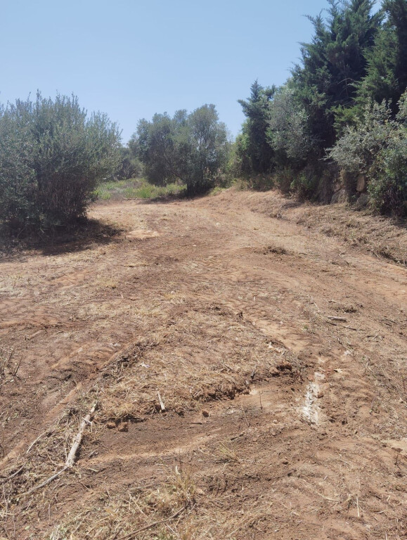 Imagen 4 de Solar residencial en Venta en Sotogrande Cádiz