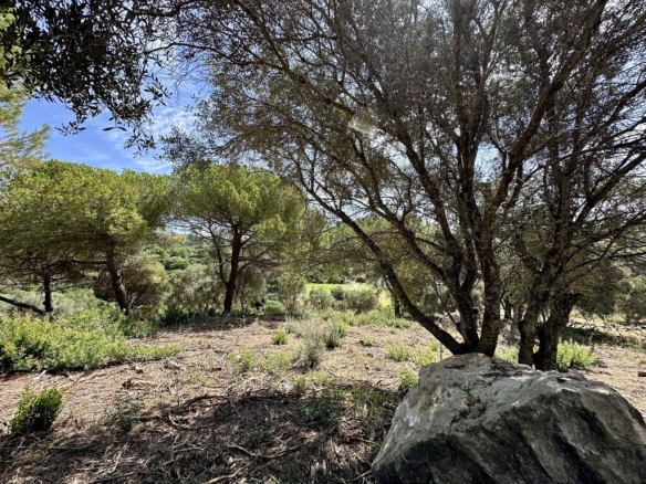 Imagen 2 de Suelo rústico en Venta en Sotogrande Cádiz