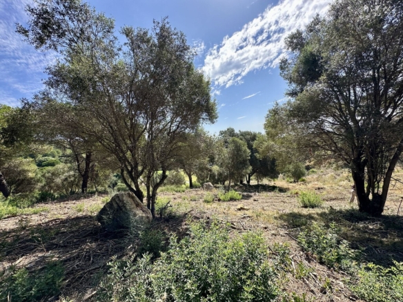 Imagen 3 de Suelo rústico en Venta en Sotogrande Cádiz