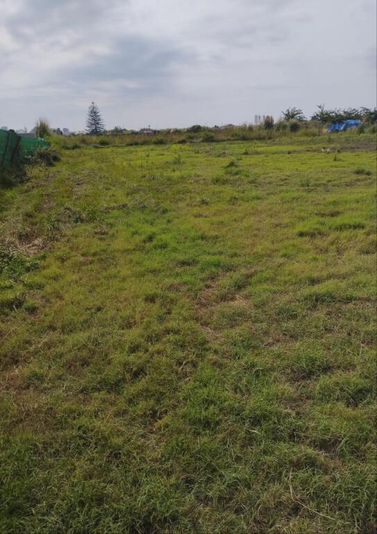Imagen 3 de TERRENO RUSTICO EN PARTIDA DE RAFAL