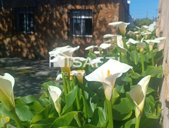 Imagen 2 de Pequeña casa con terreno rústico y acequia de riego