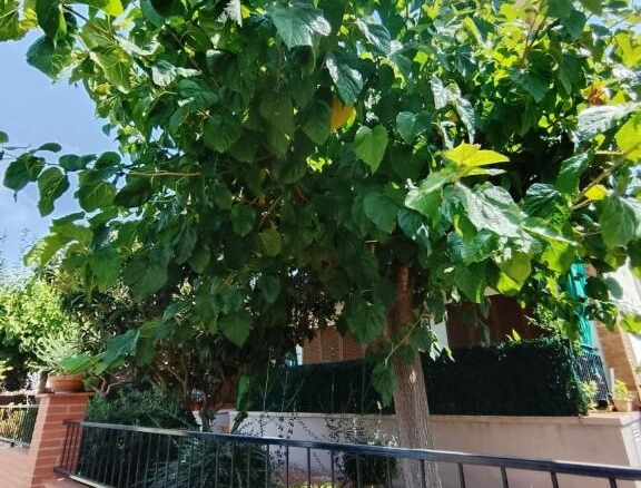 Imagen 2 de “Más que un piso