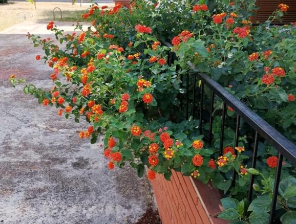 Imagen 1 de “Más que un piso