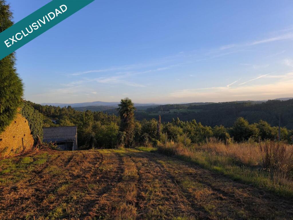 Imagen 3 de Un rural muy vivo.