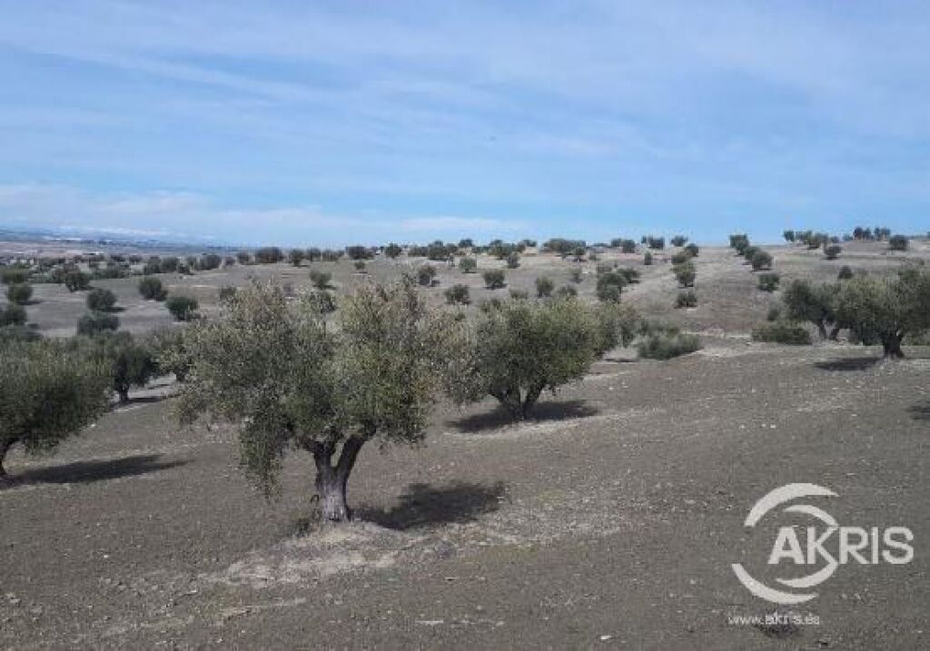 Imagen 2 de SUELO RUSTICO NO URBANIZABLE EN ALAMEDA DE LA SAGRA