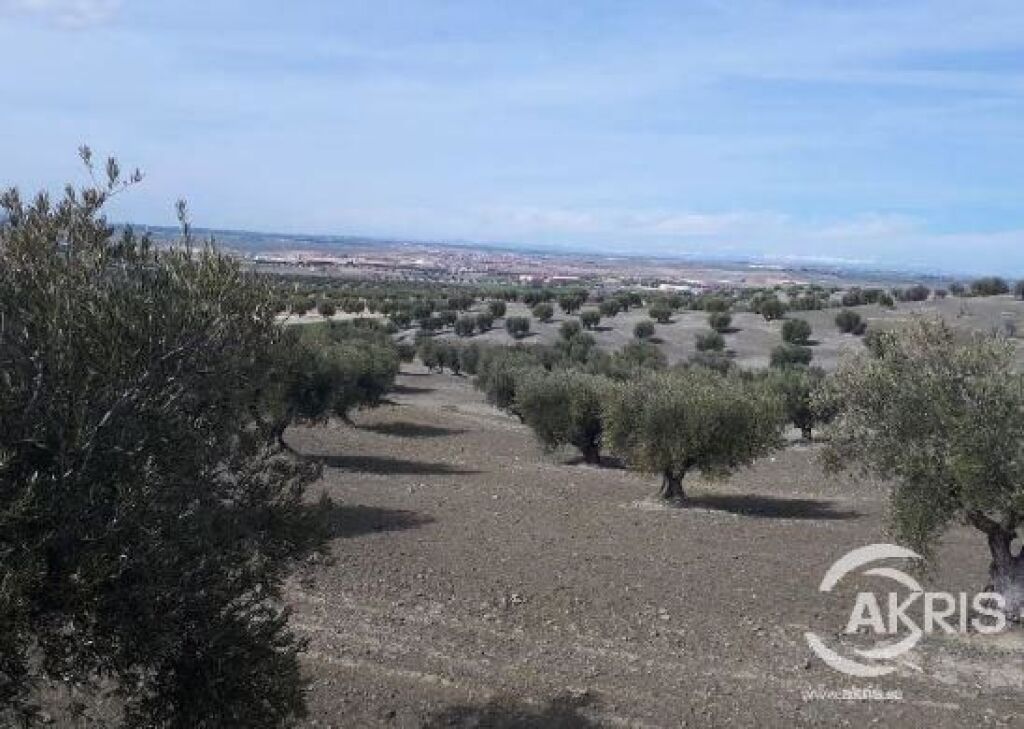 Imagen 3 de SUELO RUSTICO NO URBANIZABLE EN ALAMEDA DE LA SAGRA