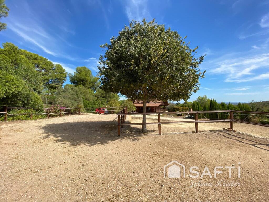 Imagen 2 de SAFTI presenta una finca única en plena naturaleza.