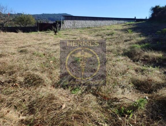 Imagen 2 de Finca Rústica en venta en Pexegueiro (Tui)