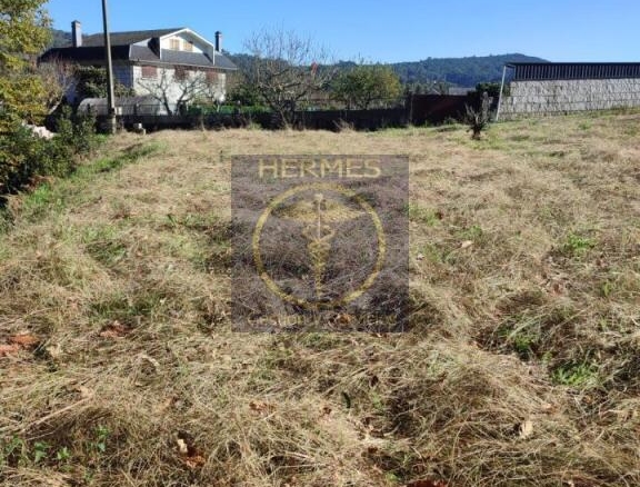 Imagen 3 de Finca Rústica en venta en Pexegueiro (Tui)