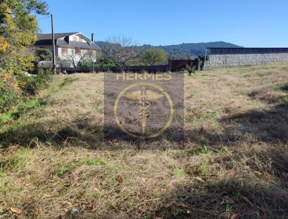 Imagen 4 de Finca Rústica en venta en Pexegueiro (Tui)