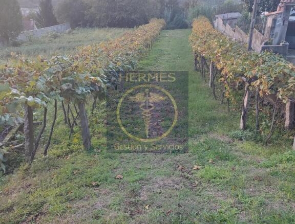 Imagen 1 de Se vende terreno rústico en Redondela