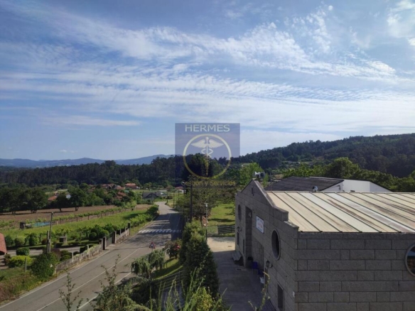 Imagen 2 de Terreno rusticos de 6164 M2 en Pexegueiro Tui