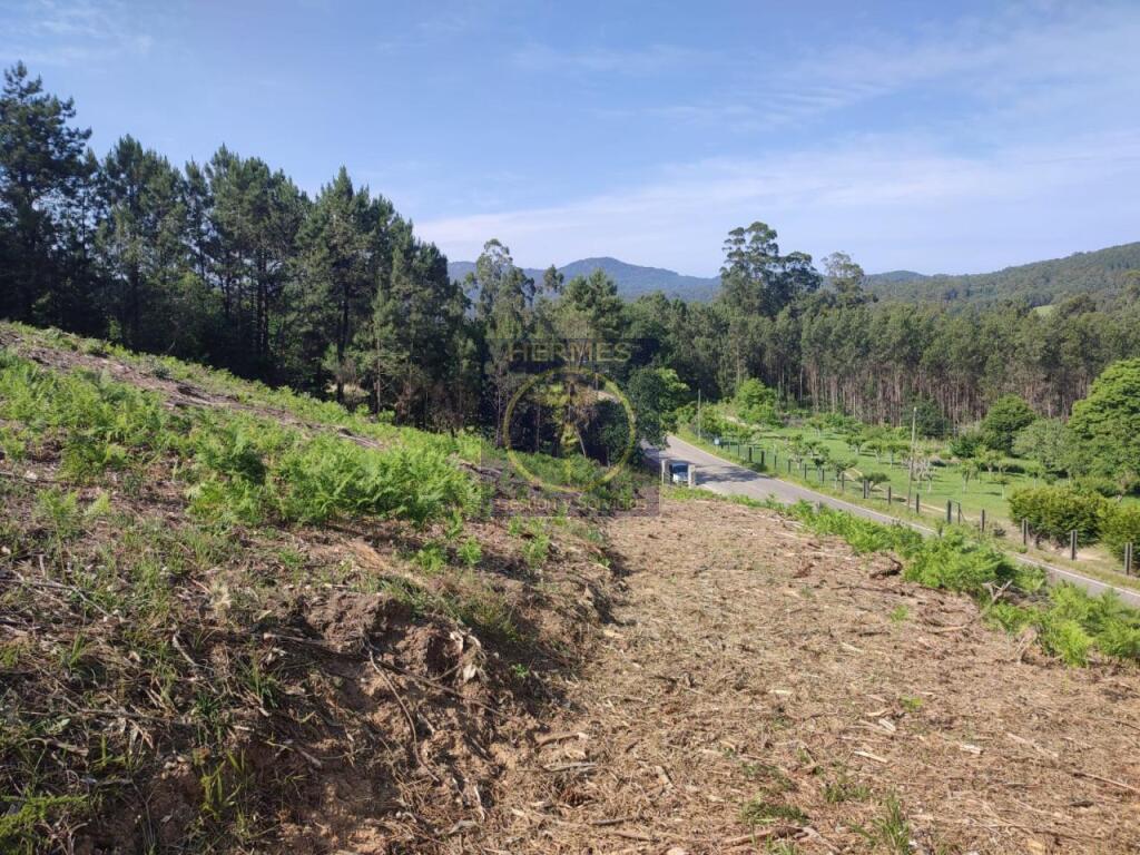 Imagen 3 de Terreno rusticos de 6164 M2 en Pexegueiro Tui
