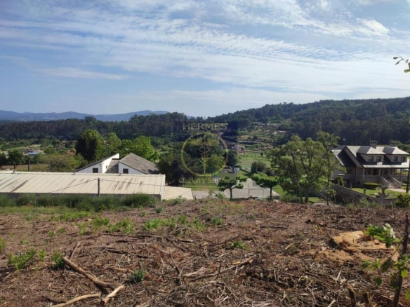 Imagen 4 de Terreno rusticos de 6164 M2 en Pexegueiro Tui