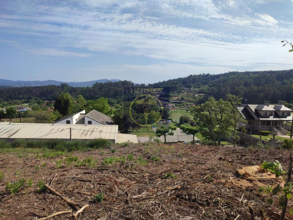 Imagen 4 de Terreno rusticos de 6164 M2 en Pexegueiro Tui