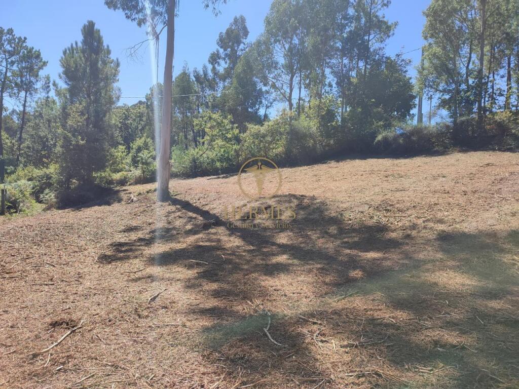 Imagen 2 de Terreno rustico fantástica ubicación