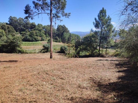 Imagen 4 de Terreno rustico fantástica ubicación