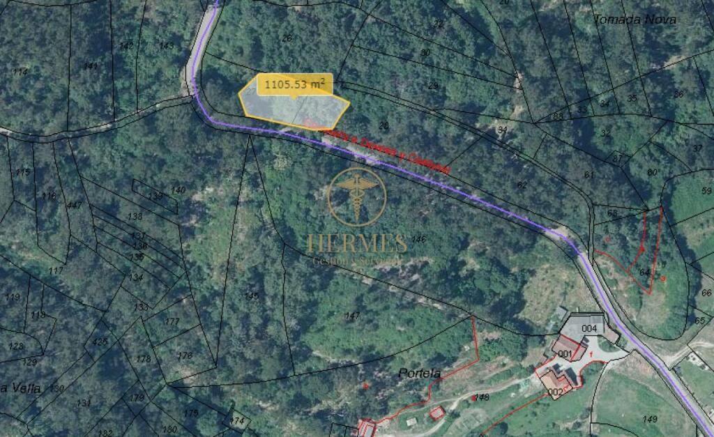 Imagen 2 de Terreno rustico ideal para explotacion 10.000 m2 en Tui