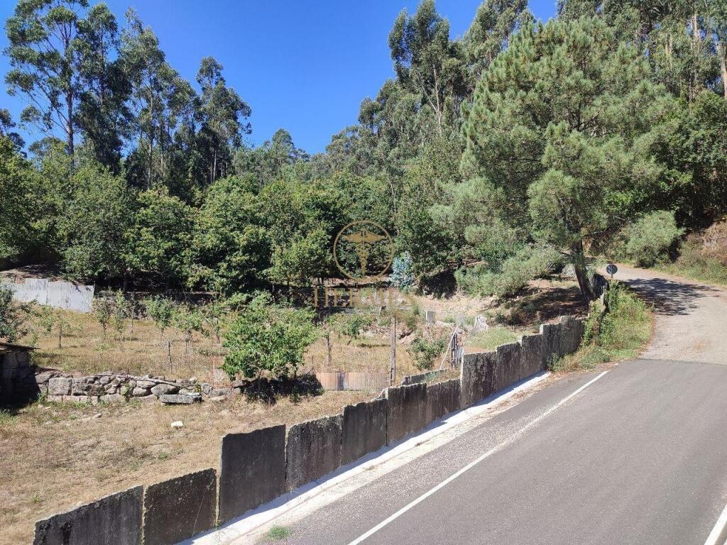 Imagen 4 de Terreno rustico ideal para explotacion 10.000 m2 en Tui