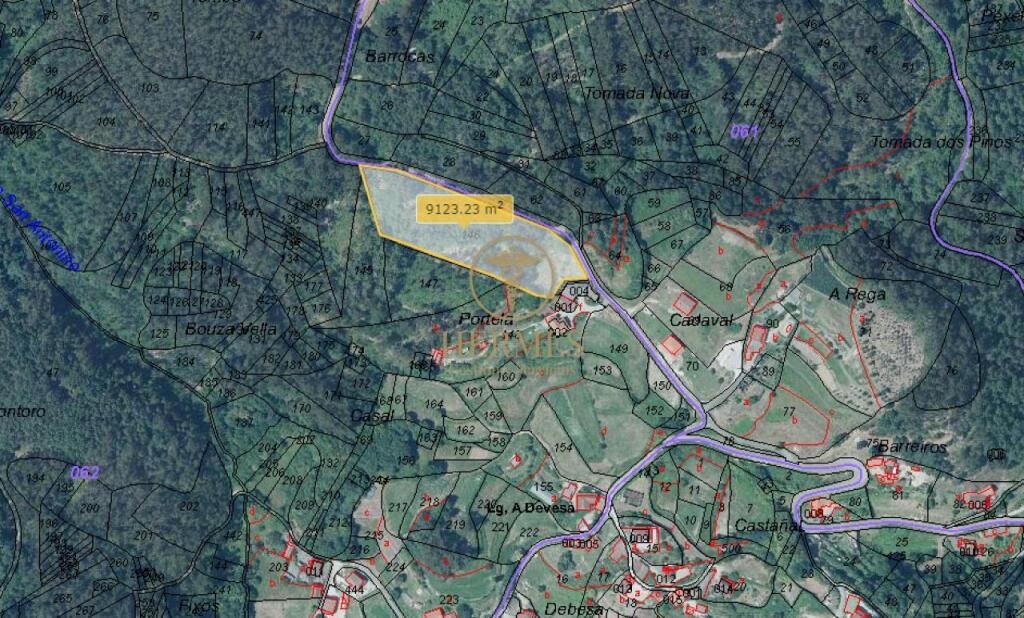 Imagen 1 de Terreno rustico ideal para explotacion 10.000 m2 en Tui