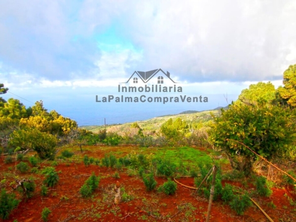 Imagen 4 de Casa de campo-Masía en Venta en Llano Negro Santa Cruz de Tenerife