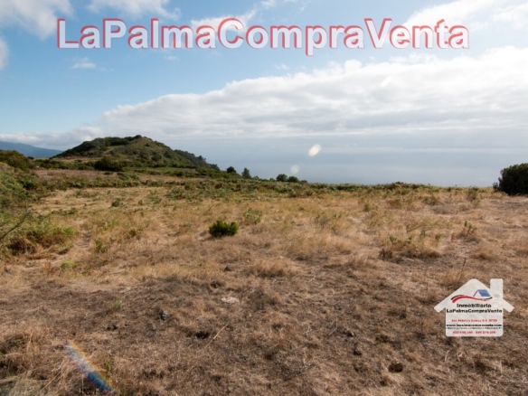 Imagen 2 de Suelo rústico en Venta en Villa De Mazo Santa Cruz de Tenerife