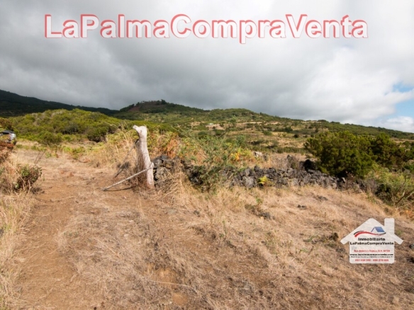 Imagen 3 de Suelo rústico en Venta en Villa De Mazo Santa Cruz de Tenerife