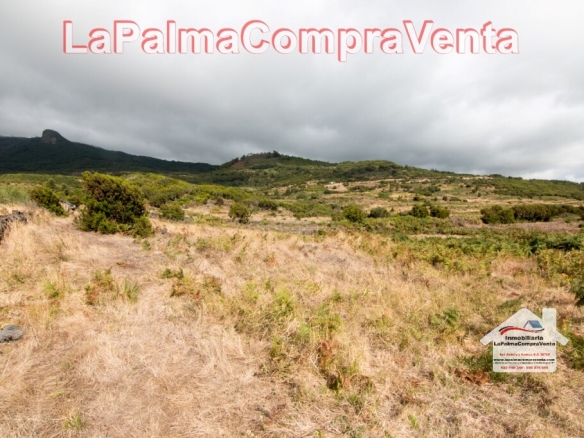 Imagen 4 de Suelo rústico en Venta en Villa De Mazo Santa Cruz de Tenerife