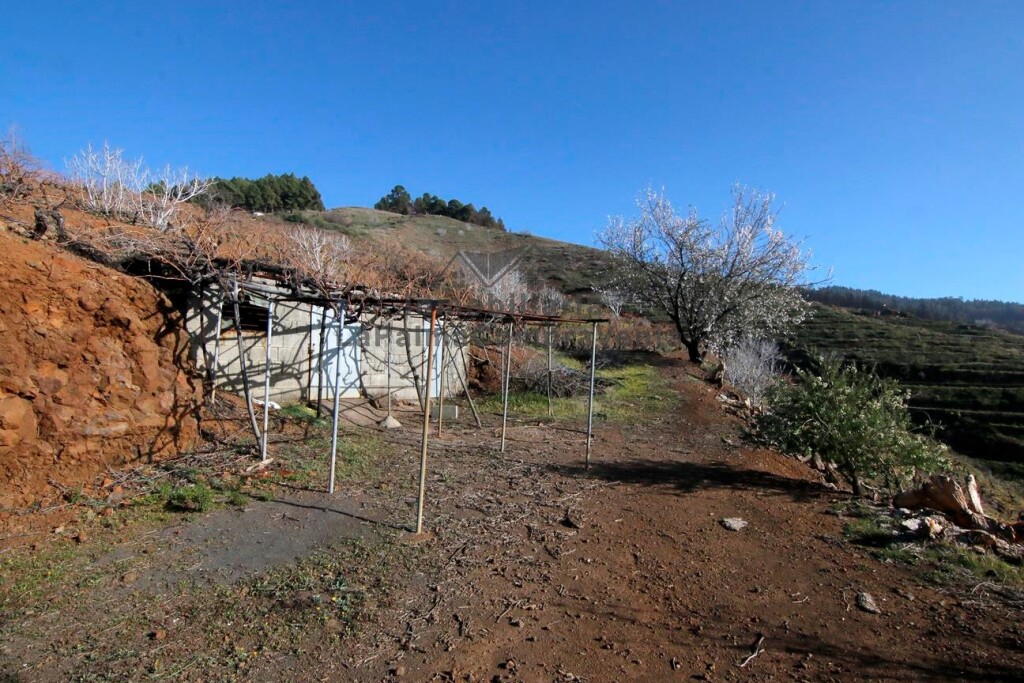 Imagen 2 de Suelo rústico en Venta en Puntagorda Santa Cruz de Tenerife