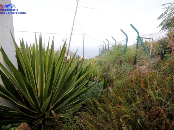 Imagen 2 de Suelo rústico en Venta en San Andres Y Sauces Santa Cruz de Tenerife