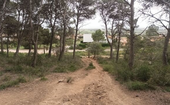 Imagen 3 de Casa de campo-Masía en Venta en Estartit Girona