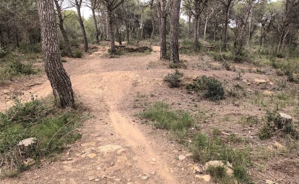 Imagen 4 de Casa de campo-Masía en Venta en Estartit Girona