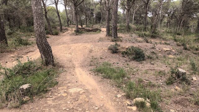 Imagen 4 de Casa de campo-Masía en Venta en Estartit Girona