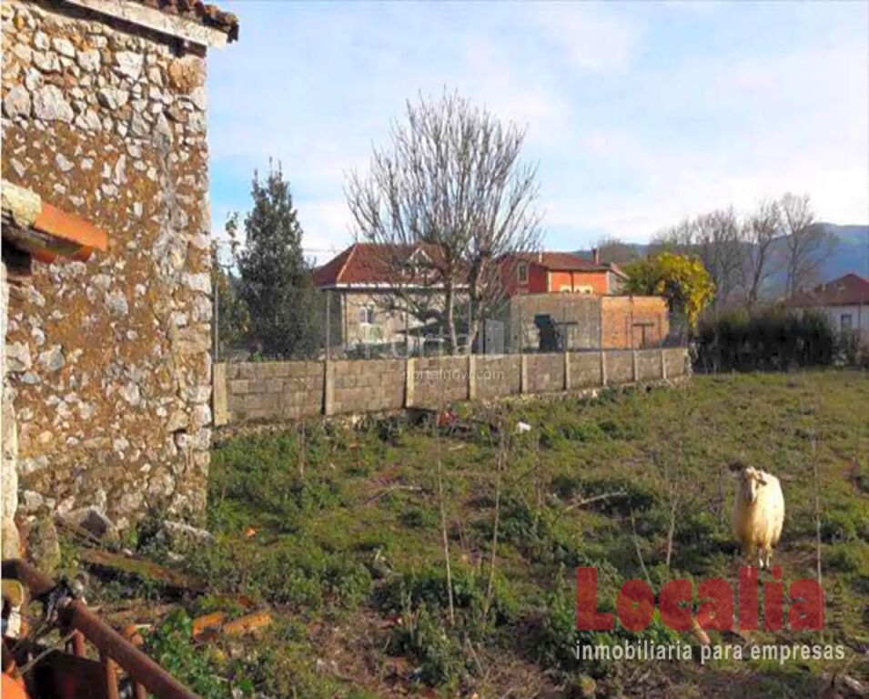 Imagen 2 de Terreno Urbano de 2118m² en Solórzano