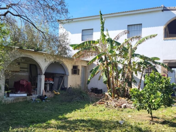 Imagen 2 de Magnífica Finca en Pilas con bodega de vino mosto del Aljarafe!!!!