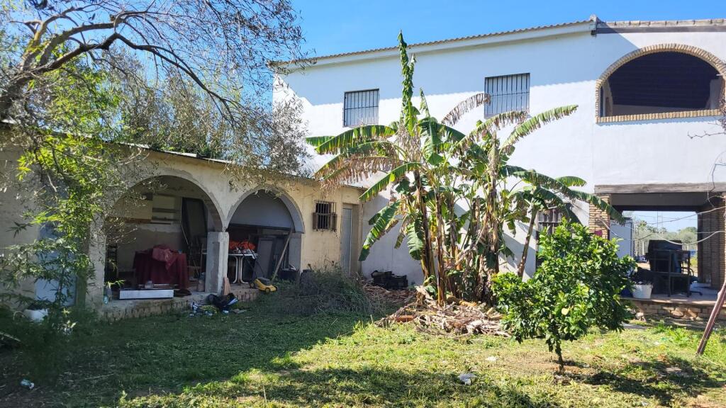 Imagen 2 de Magnífica Finca en Pilas con bodega de vino mosto del Aljarafe!!!!