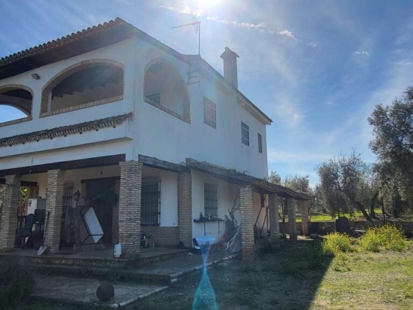 Imagen 3 de Magnífica Finca en Pilas con bodega de vino mosto del Aljarafe!!!!