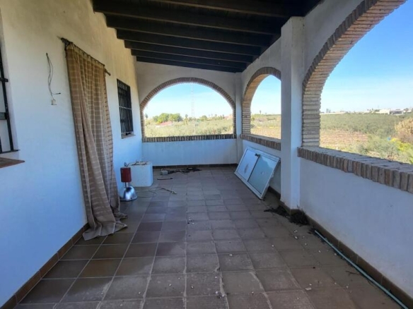 Imagen 4 de Magnífica Finca en Pilas con bodega de vino mosto del Aljarafe!!!!