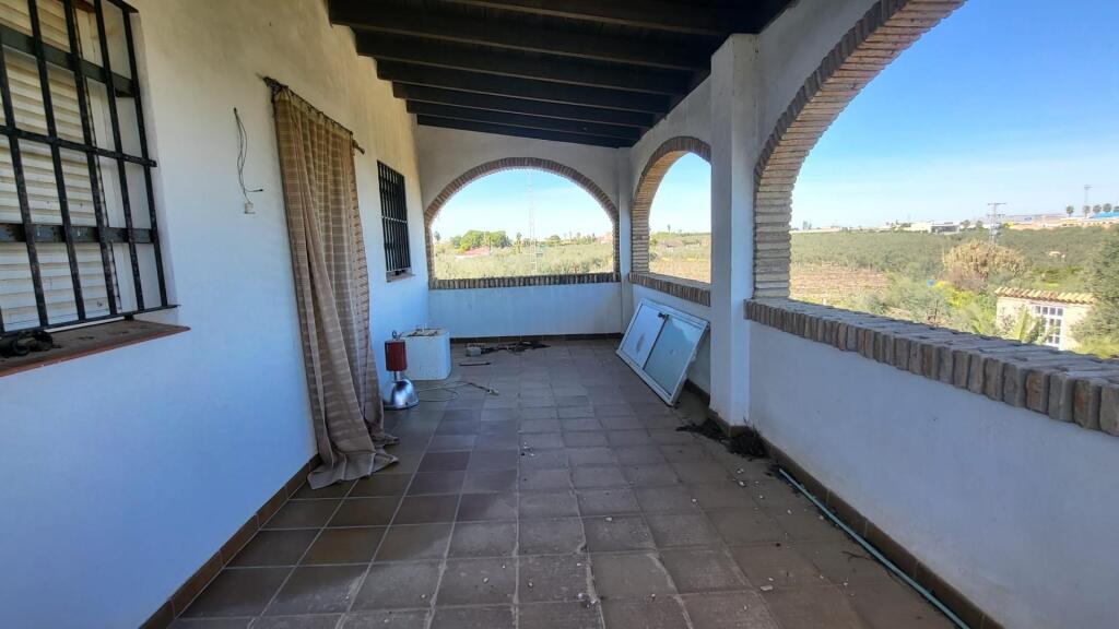 Imagen 4 de Magnífica Finca en Pilas con bodega de vino mosto del Aljarafe!!!!