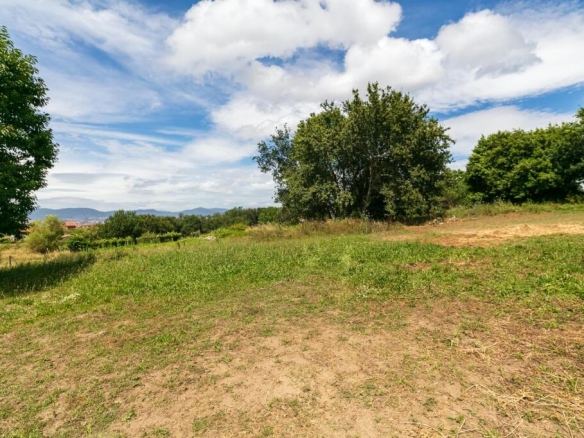 pero ideal para otros usos agrìcolas.