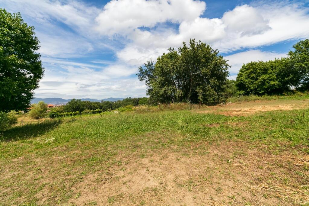 pero ideal para otros usos agrìcolas.