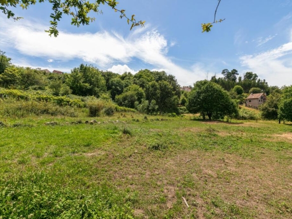 pero ideal para otros usos agrìcolas.