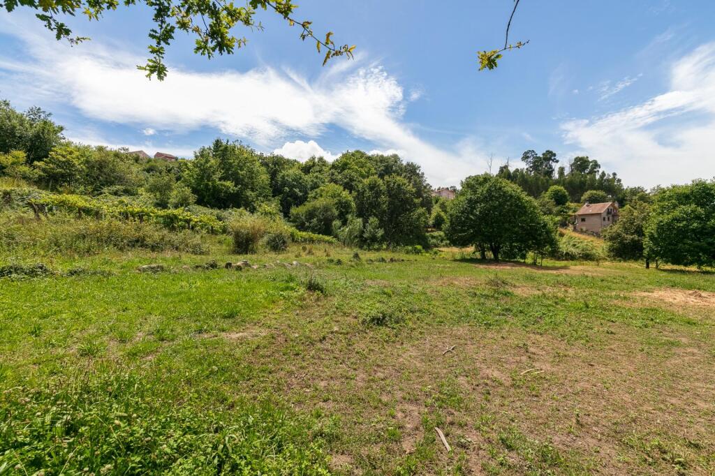 pero ideal para otros usos agrìcolas.