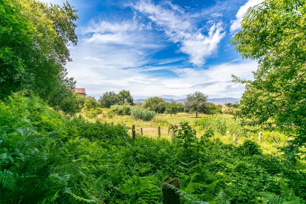 Imagen 1 de Terreno urbano sin edificabilidad en Matamá