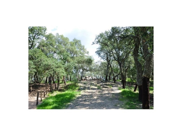 Imagen 3 de Parcela en Venta en Santa Cristina D Aro Girona