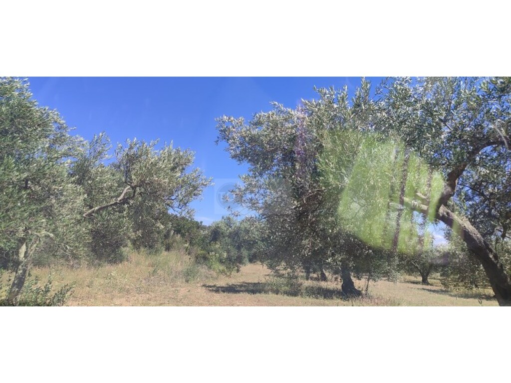 Imagen 2 de Parcela en Venta en Cantallops Girona