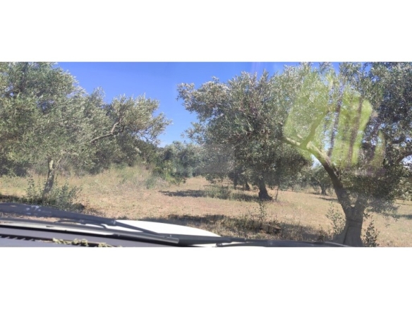 Imagen 3 de Parcela en Venta en Cantallops Girona