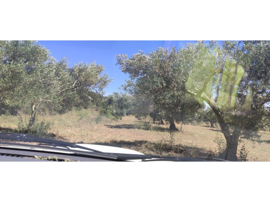 Imagen 3 de Parcela en Venta en Cantallops Girona